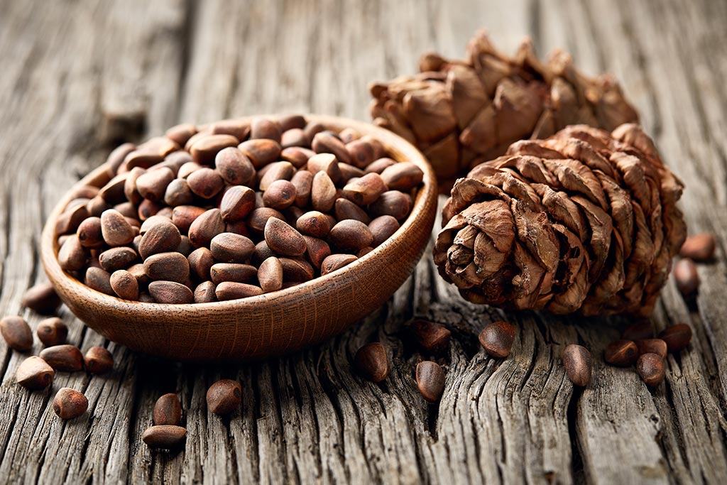 Orašasti plodovi - Pinjoli